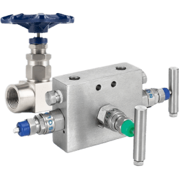 Needle & Manifold Valve